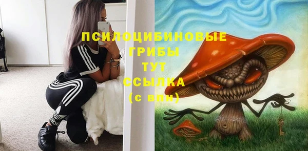 прущие крисы Баксан