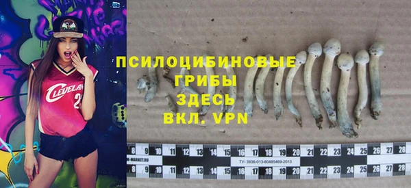 ешки Богданович